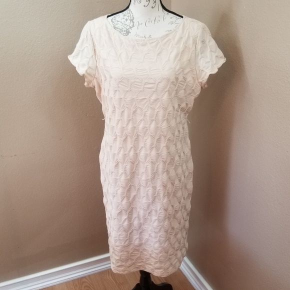 Sharagano Dresses & Skirts - Sharagano Cream Short Sleeve Shift Dress Size 14